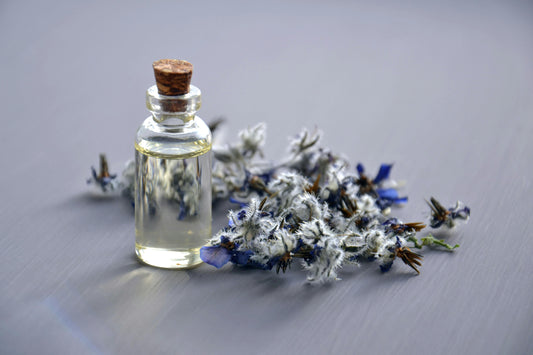 Is It Safe to Use Seed Oils in Skincare?