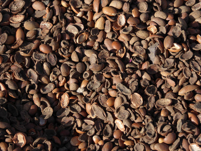 Argan Oil