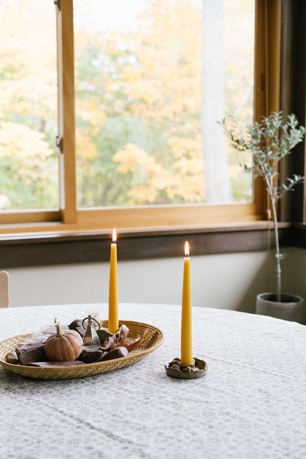 Pair of two lit beeswax candles on a table with window behind.