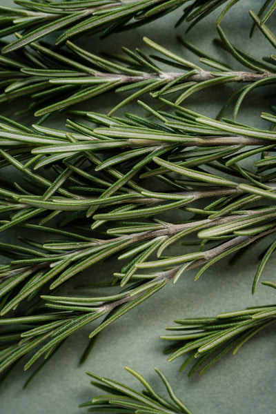 Rosemary